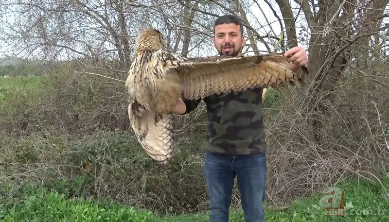 Son dakika: Bursa'da nadir görülen yırtıcı kuşu kurtarırken yaralandı! Pençesiyle... 5