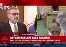 Hayvan Hakları Yasa Tasarısı