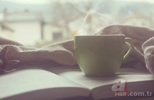 Kilo vermek isteyenler dikkat! Bu besinler metabolizmayı hızlandırıyor! İşte kilo verdiren yiyecekler 24