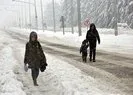 Van’da yarın okullar tatil mi? 5 Şubat Çarşamba Van kar tatili var mı? Van Valiliği açıklaması…