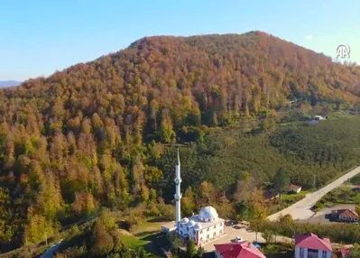 Nebiyan Dağı sonbahar renklerine büründü