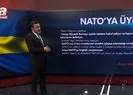 NATO’ya üyelik süreci nasıl işliyor?