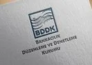 BDDK, Denizbakın başvurusunu kabul etti