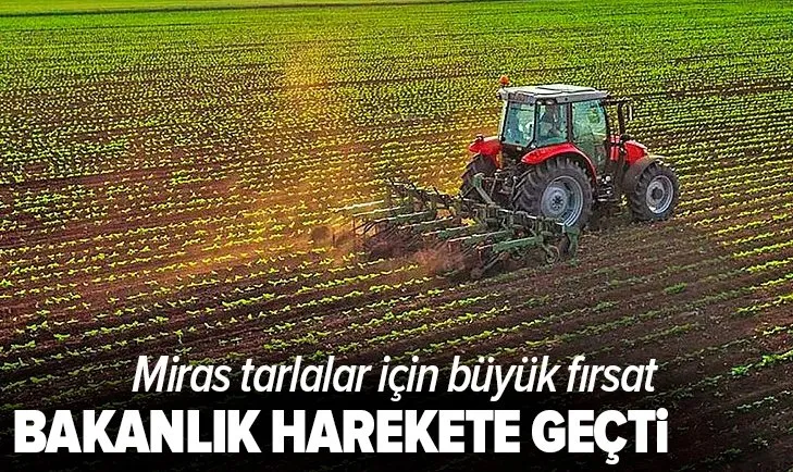 Miras tarlalar için büyük fırsat! Bakanlık harekete geçti