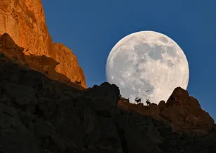 Ender rastlanan anlar! Ortaya çıkan manzara mest etti