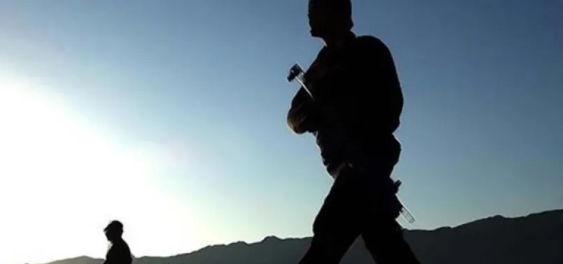 Van'da PKK'lı 2 terörist etkisiz hale getirildi