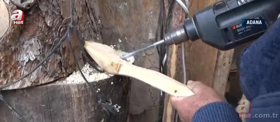 Ağaçlar onun elinde şekilleniyor! Şimşir ağaçlarından... 3