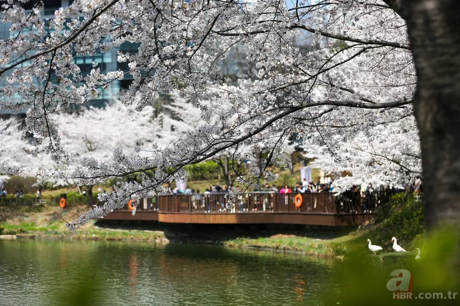 Dünyanın en mutlu şehirleri açıklandı: İlk sırada Kopenhag var 7