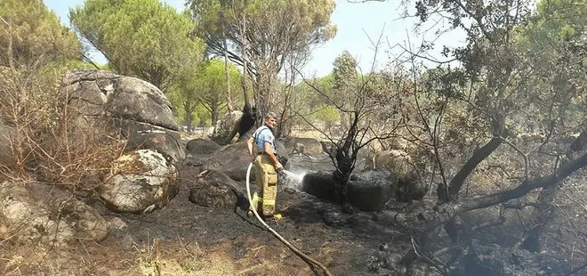 Son dakika: Ayvalık’taki orman yangını söndürüldü