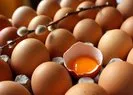 Kahverengi yumurtada büyük yanılgı!