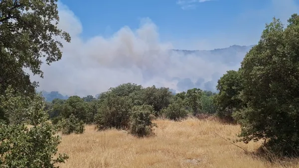 mugla-ve-bursada-korkutan-orman-yangini-1654517882092.jpg Muğla ve Bursa'da korkutan orman yangını - 5