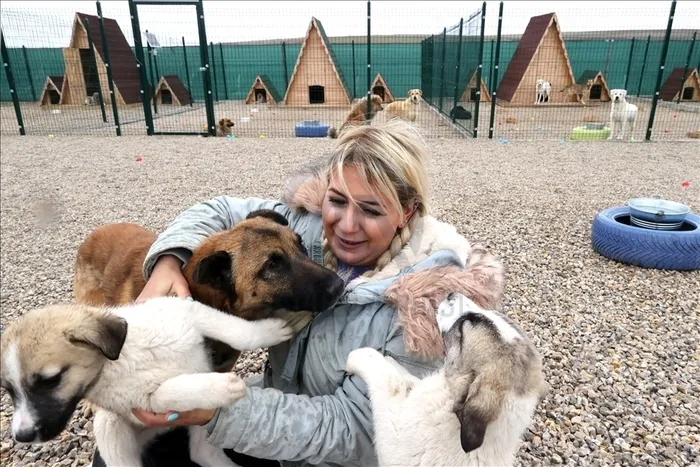 hayvanlar-icin-toplanan-paralari-cebe-indirmislerdi-12-yila-kadar-hapis-talebi-aralarinda-kopekvelisi-buket-oz-1745317356769.jpeg Savcılık 12 kişi hakkında ʺsuçtan kaynaklanan malvarlığı değerlerini aklamaʺ suçuyla dava açtı. (AA)