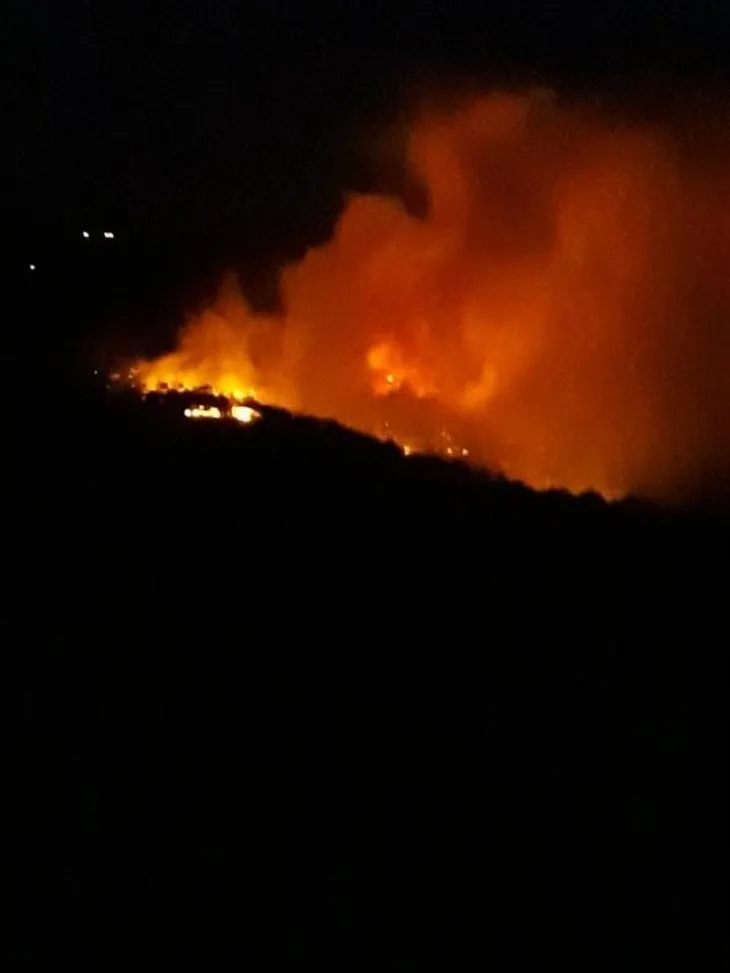 Hatay’da orman yangını! Hatay’ın Belen ilçesinde yangından üzücü fotoğraflar