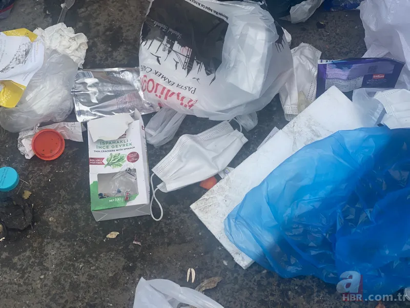 Maltepe çöplüğü: İşçiler greve gitti sokaklar pislik içinde! Uzman isimden korkutan koronavirüs uyarısı 11