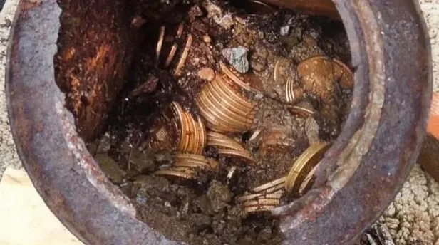 Köpek gezdirirken adeta gömü buldu! Altından kat kat daha kıymetli!