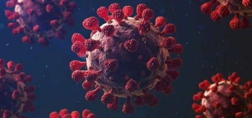 Son dakika: Türkiye'de görülen mutasyona uğrayan virüs nedir? Aşı faaliyetlerini etkiler mi?