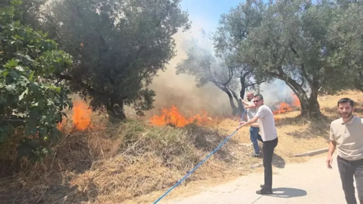 Silopi'de örtü yangını, büyümeden söndürüldü
