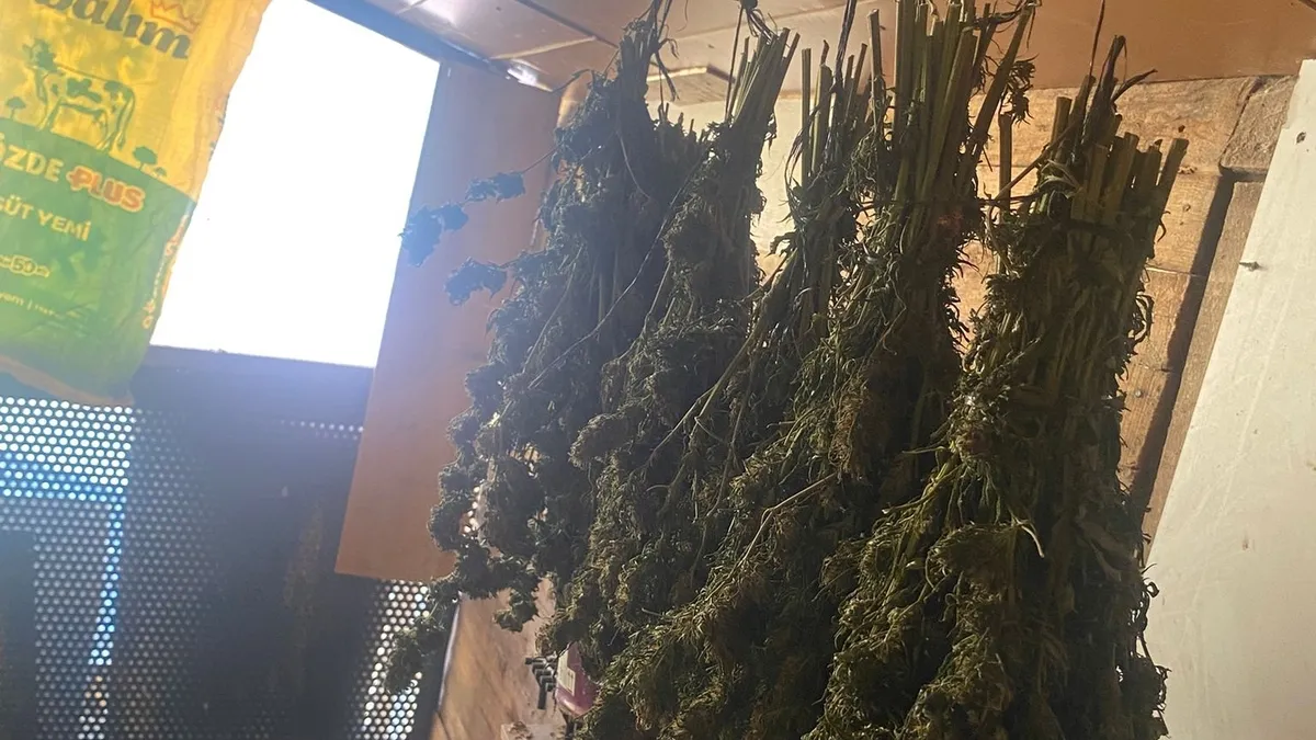 Bursa'da zehir taciri kıskıvrak yakalandı