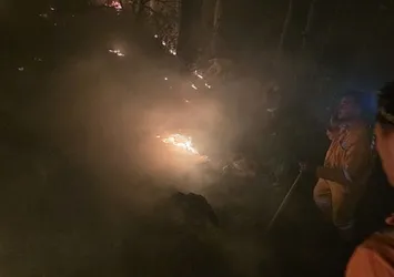 Hatay'da yıldırım yangına neden oldu!
