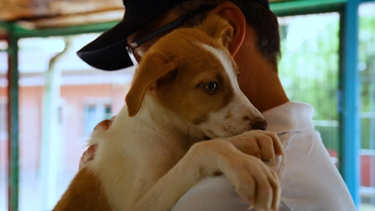 Kalyon Holding "sokakların sessiz kahramanları"nı unutmadı