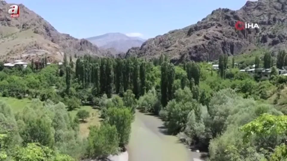 Pekmez ocakları bu kez pestil için yandı