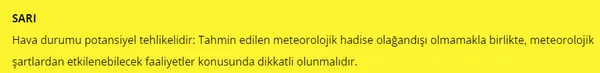 1661408168051.jpg İstanbul'da sağanak yağmur kaç gün sürecek? Canlı yayında sel alarmı | Meteoroloji'den 11 il için sarı ve turuncu kodlu uyarı - 4