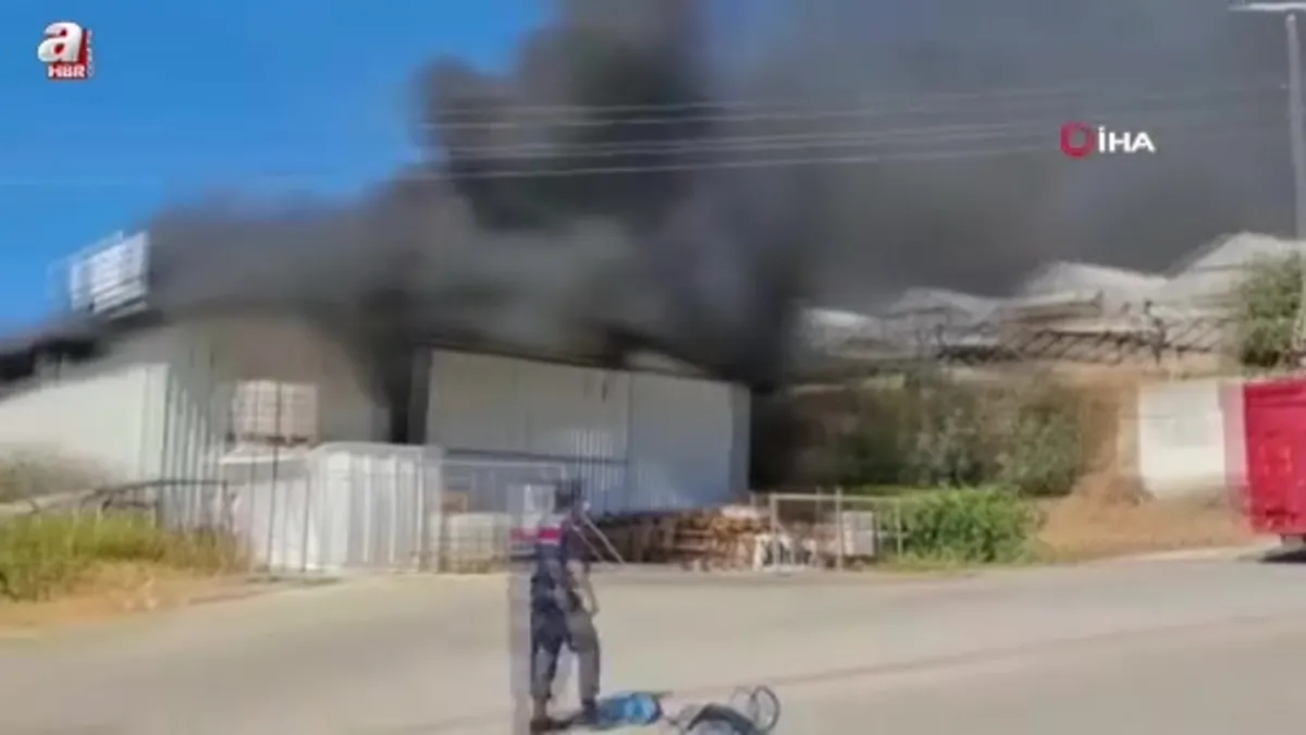 Alanya'da serada çıkan yangın depoya sıçradı