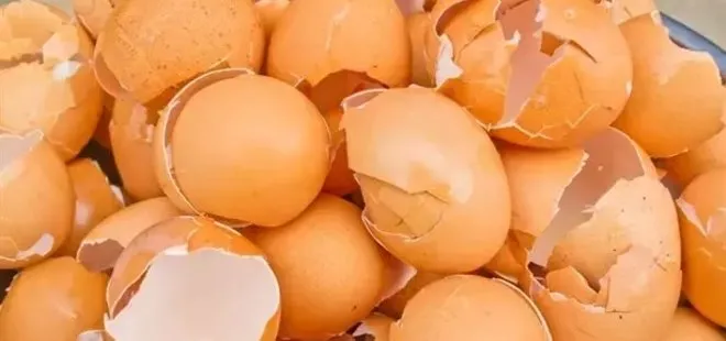 Yumurta kabuğu neye iyi gelir? Cilde faydası...