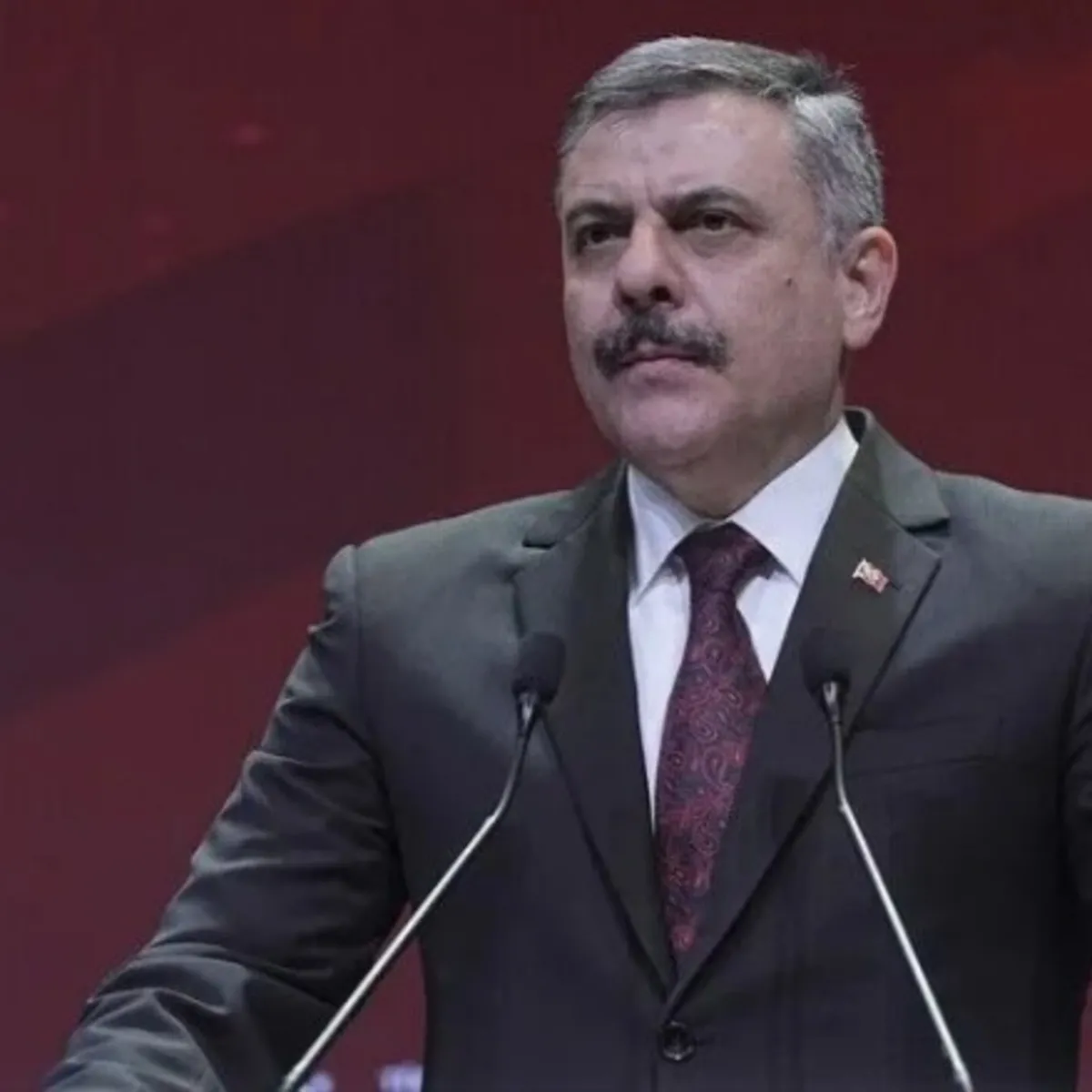 İçişleri Bakanı Çiftçi Gürcistan'a gidecek: Gündem