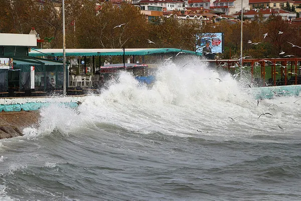 1700917789663.jpg Marmara Denizi'nde fırtına! Çok sayıda sefer iptal edildi... - 2