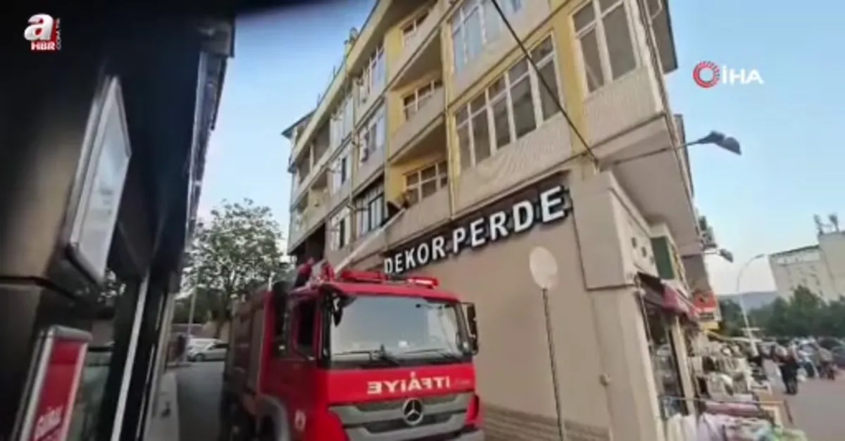 Boş dairede mahsur kalan kedi kurtarıldı