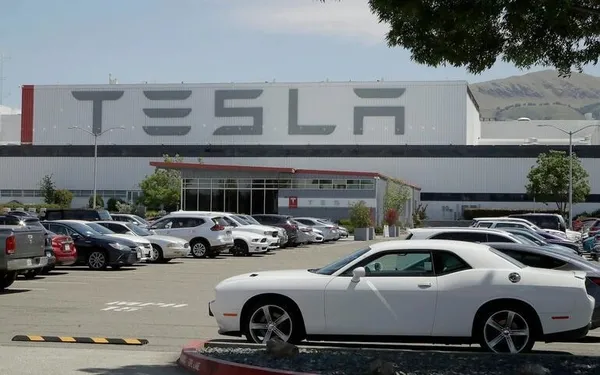 1639988118626.jpg Araba oto pilottayken dünyaya geldi! Tesla bebek tarihe geçti - 3
