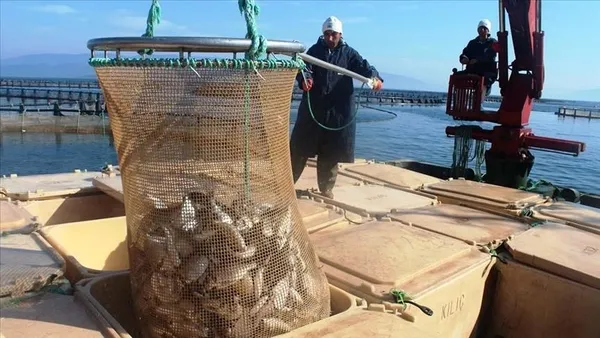 1681550917889.jpeg Türkiye Avrupa'nın zirvesinde! 500 bin tonun üzerinde üretim 103 ülkeye ihracat - 2