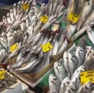 Balık fiyatlarında son durum