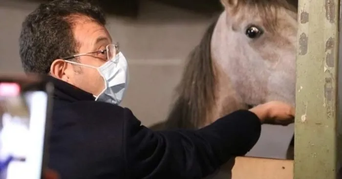 İşte atların tutulduğu yer! Büyükada’daki İSPARK ahırlarından yeni görüntüler!