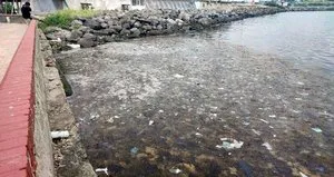 Marmara’da istila! Uzmanlar nedenini açıkladı