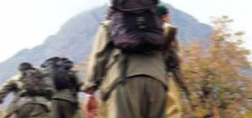 Son dakika: Bakanlık duyurdu: Tunceli'de 2 terörist etkisiz hale getirildi