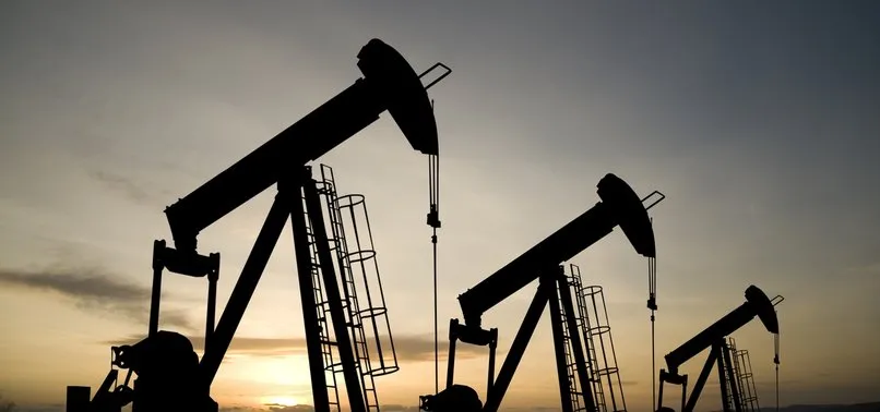 Irak'tan Basra Körfezi'nde 'petrol adası' planı