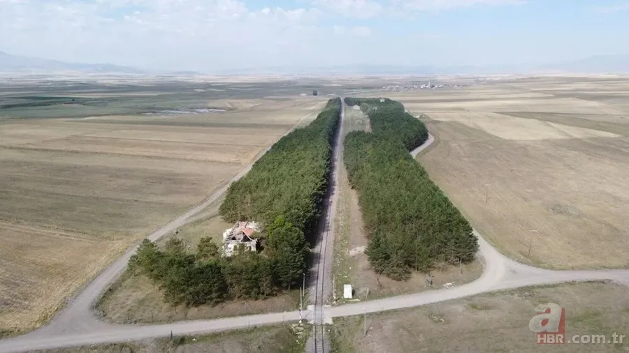 Bozkırın ortasında yemyeşil doğa! Hayran bırakan görüntüler 4