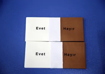Referanduma 19 gün kala son anket