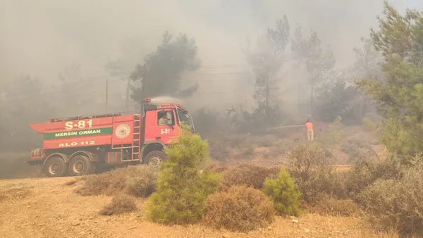 son-dakika-mersinde-orman-yangini-ekipler-mudahale-ediyor-1662543329026.jpg
