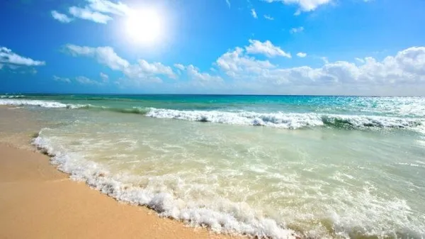 Sahilde meditasyon yapanlar dalgalara kapıldı! 10 kişi öldü