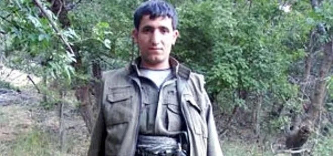 Etkisizleştirilen sivil katili terörist PKK’nın sözde Ağrı Dağı Genel Sorumlusu çıktı