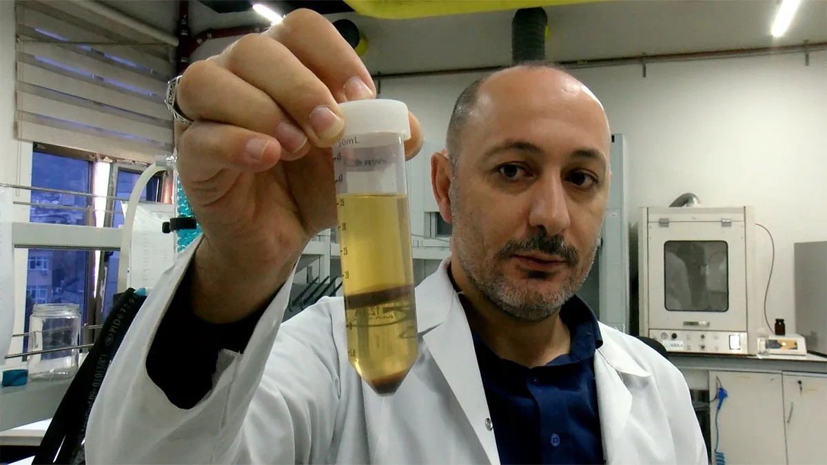 Hayvan yeminden insan tüketimine: Fındık posasından yeni nesil protein