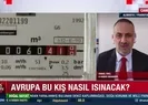 Avrupa bu kış nasıl ısınacak?