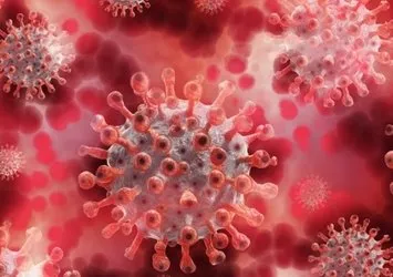 O ülkede salgın hastalık alarmı! 1 haftada 10 kişi öldü