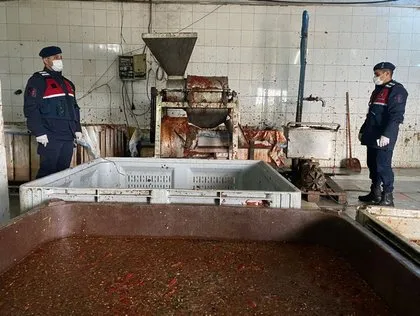 İzmir’de mide bulandıran görüntüler! İçeri giren jandarma ekipleri şaştı kaldı: Kaçak salça üretimi | Vatandaşa bunu yediriyorlar
