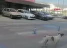 Muğlada korkutan deprem