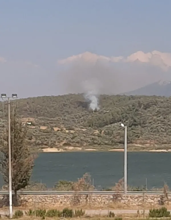 son-dakika-bodrumda-orman-ve-makilik-alanda-yangin-havadan-mudahale-basladi-1657462326873.jpg Bodrum’daki orman yangını kontrol altına alındı - 1