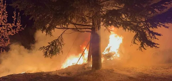 Dinlenme tesisinde korkutan yangın